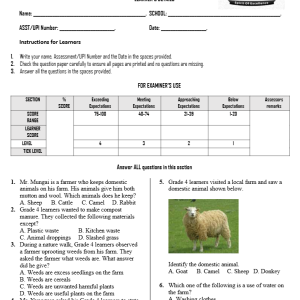 GRADE 4 Opener Term 3 2026 Full Exam
