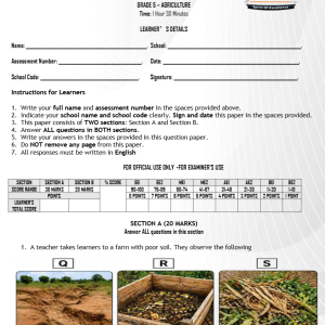 GRADE 5 TERM 2 2026 END