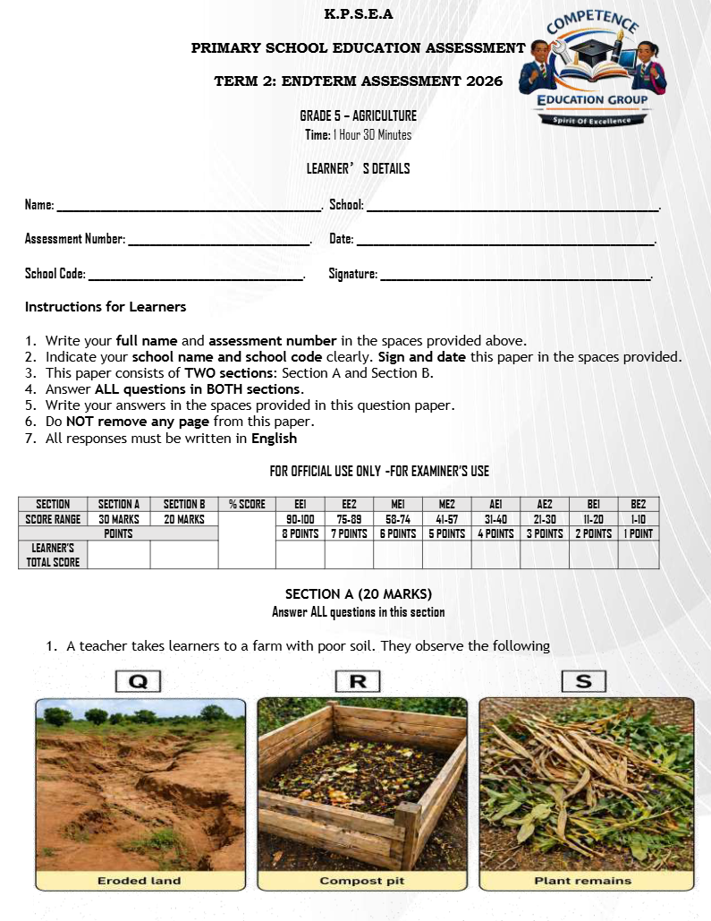 GRADE 5 TERM 2 2026 END