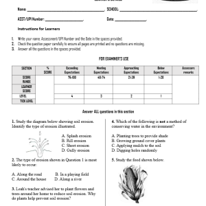 GRADE 5 TERM 3 OPENER EXAM 2026