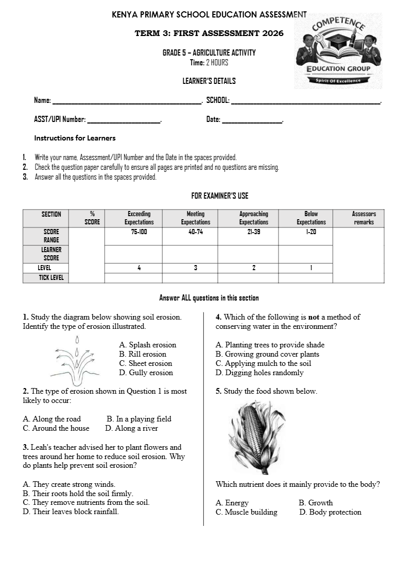 GRADE 5 TERM 3 OPENER EXAM 2026